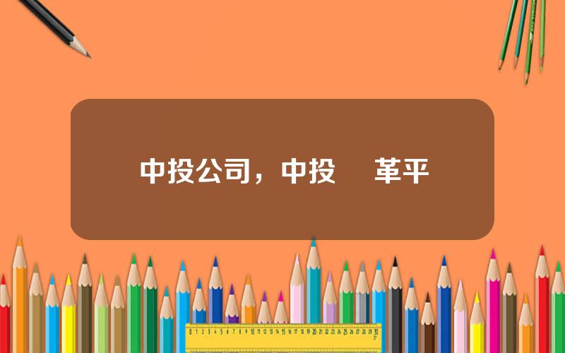 中投公司，中投 張革平